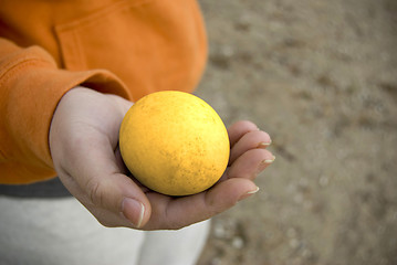 Image showing golden egg