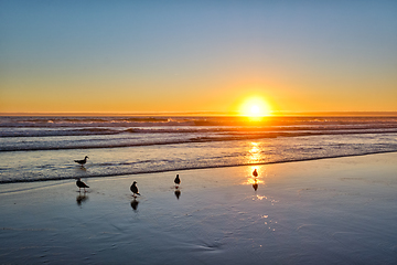 Image showing Seagulls on beach atlantic ocean sunset with surging waves at Fonte da Telha beach, Portugal