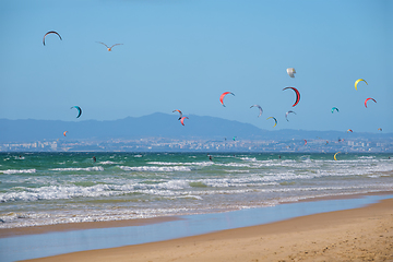 Image showing Kiteboarding kitesurfing kiteboarder kitesurfer kites on the ocean beach