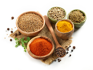 Image showing various spices on white background