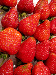 Image showing Rows of Strawberries