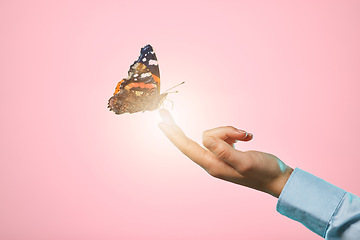 Image showing Butterfly, studio and hand with insect and lens flare in isolated pink background. Bright, bug and woman hands with nature and spring aesthetic with light glow and bugs with advertisement space