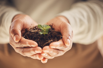 Image showing Ecology, soil and plant with growth and hands, environment and nature for Earth Day awareness and agriculture. Growing, leaves and sustainability with person, fertilizer and farming with closeup