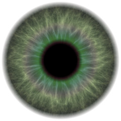 Image showing Green Eye Iris