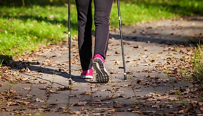 Image showing Nordic walking