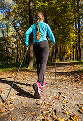 Image showing Nordic walking