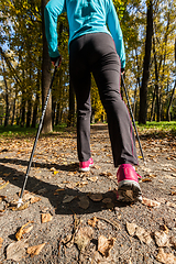 Image showing Nordic walking