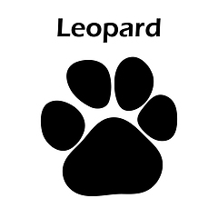 Image showing Leopard Footprint