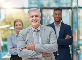 Image showing Leadership, team and portrait of business people with arms crossed, pride and unity at a company. Expert, solidarity and manager with employees, confidence and support at a corporate agency