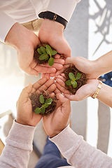 Image showing Plant in group hands or women palm for earth day gardening, startup growth and sustainable business. Eco friendly, community hope and people teamwork with hand holding soil above for a green project