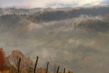 Image showing Foggy day