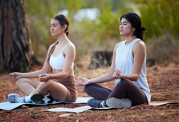 Image showing Meditation, outdoor and women exercise in nature for fitness, peace and wellness. Yoga friends on forest ground for lotus workout, training and energy for mental health, chakra and zen mind or time