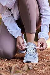 Image showing Fitness, runner or hands tie shoes to start workout, sports exercise or cardio training with running footwear. Legs, nature or healthy girl with commitment or motivation ready for exercising wellness