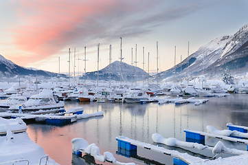 Image showing snow-covered boats in marina