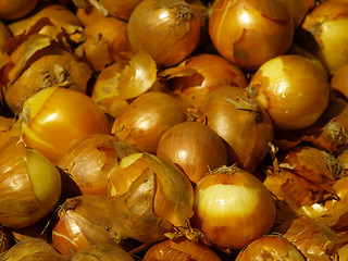 Image showing onions