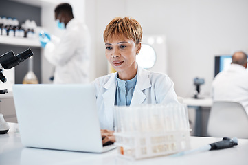 Image showing Science, healthcare and scientist with a laptop for research, innovation and pharmaceutical email. Lab, pharmacy and mature woman reading results of virus on a computer for analysis and breakthrough