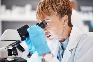 Image showing Biotechnology, microscope and science with black woman in laboratory for experiment, medical and pharmacy. Healthcare, medicine and results with expert looking for pathology, test or sample analysis