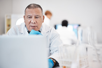 Image showing Science, laptop and senior man with focus, online reading and check experiments results in laboratory. Research, male researcher and scientist with device, thinking or update sample for data analysis