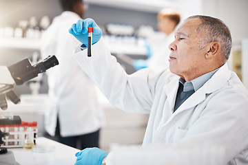 Image showing Blood, science and senior scientist in laboratory with sample for research, medical study and investigation. Healthcare, pharmaceutical and old man with vial for dna testing, biology and rna analysis