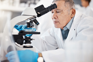 Image showing Science, laboratory and senior man with microscope for research, medical study and analytics. Healthcare, biotechnology and old scientist with sample for experiment, vaccine development and medicine