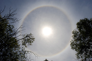 Image showing Sun Halo