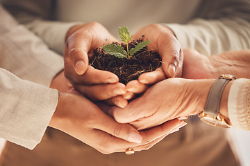 Image showing Ecology, soil and plant with team and hands, solidarity for environment and nature for Earth Day awareness and agriculture. Growth, support and sustainability with business people and collaboration