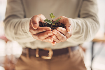 Image showing Ecology, soil and leaves with growth and hands, environment and nature for Earth Day awareness and agriculture. Growing, plant and sustainability with business man, fertilizer and farming closeup