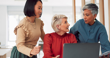 Image showing Laptop, face and senior business woman doing feedback review of financial portfolio, stock market or investment. Online research, bitcoin mining and portrait of trader trading nft, forex or crypto