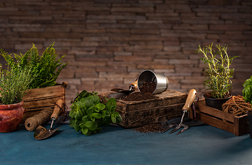 Image showing Still life of spring hobby garden