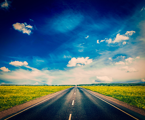 Image showing Road in blooming spring meadow