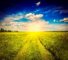 Image showing Spring summer rural road in green field landscape