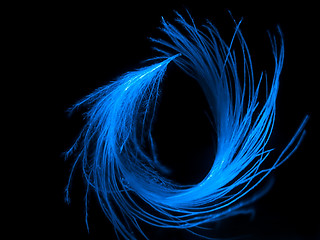 Image showing Blue feather background