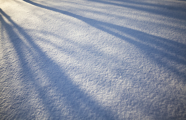 Image showing shadows on wavy snowdrifts