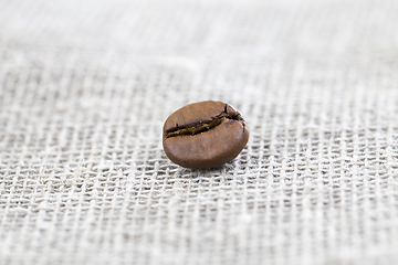 Image showing coffee grain