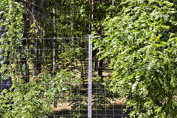 Image showing metal fences