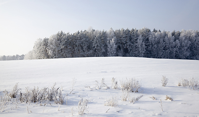 Image showing landscape in the winter time