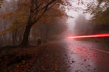 Image showing Autumn colors