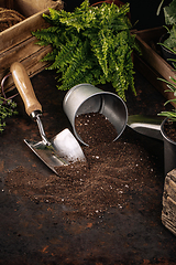 Image showing Gardening tools composition