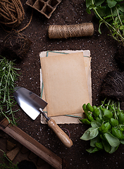 Image showing Herbs and gardening tools