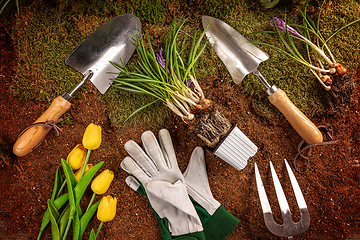 Image showing Spring gardening concept