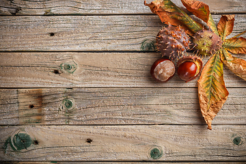 Image showing Background with chestnut leaves