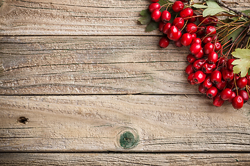 Image showing Hawthorn berries