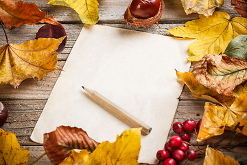 Image showing Autumn leaves