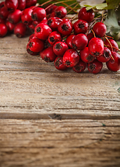 Image showing Hawthorn berries