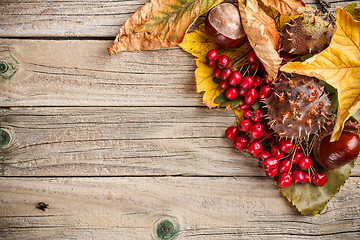 Image showing Border made of autumn leaves