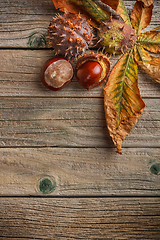 Image showing Autumn leaves and fresh chestnuts