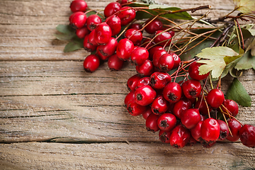 Image showing Frame made of hawthorn berries