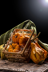 Image showing Pumpkins