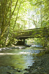 Image showing Olympic National Park