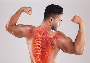 Image showing Back, man and spine with x ray, fitness and bicep arms with guy against grey studio background. Male athlete, bodybuilder and gentleman after training, health and strong with anatomy and skeleton